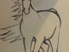 horse-sketch